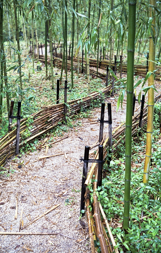 雨の竹道　～RETINETTE＆FUJI100