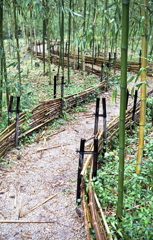 雨の竹道　～RETINETTE＆FUJI100