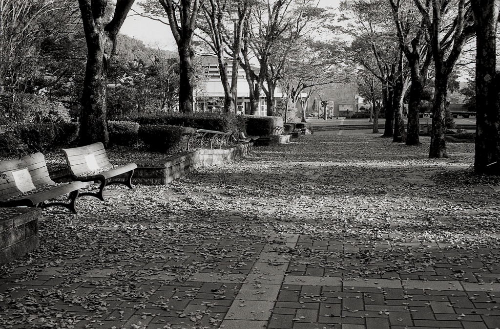 Miles Davis 「Autumn Leaves（枯葉）」