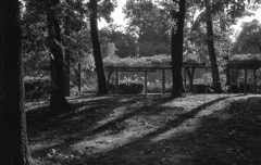 冬の藤棚　～名古屋市名城公園にて