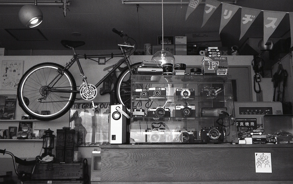 イエネコカメラ