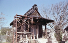 本堂の瓦は抜け落ちて人影もなく