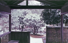 東屋にて