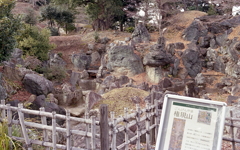 北庭園の権現山