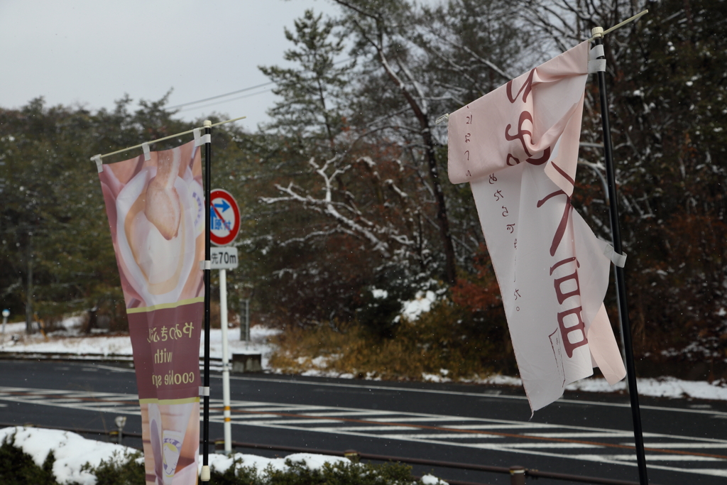 幟も丸める風雪