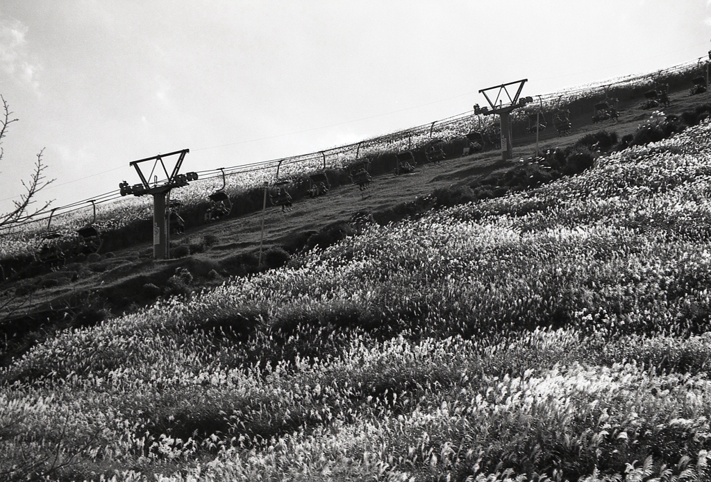 すすきとリフト