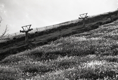 すすきとリフト