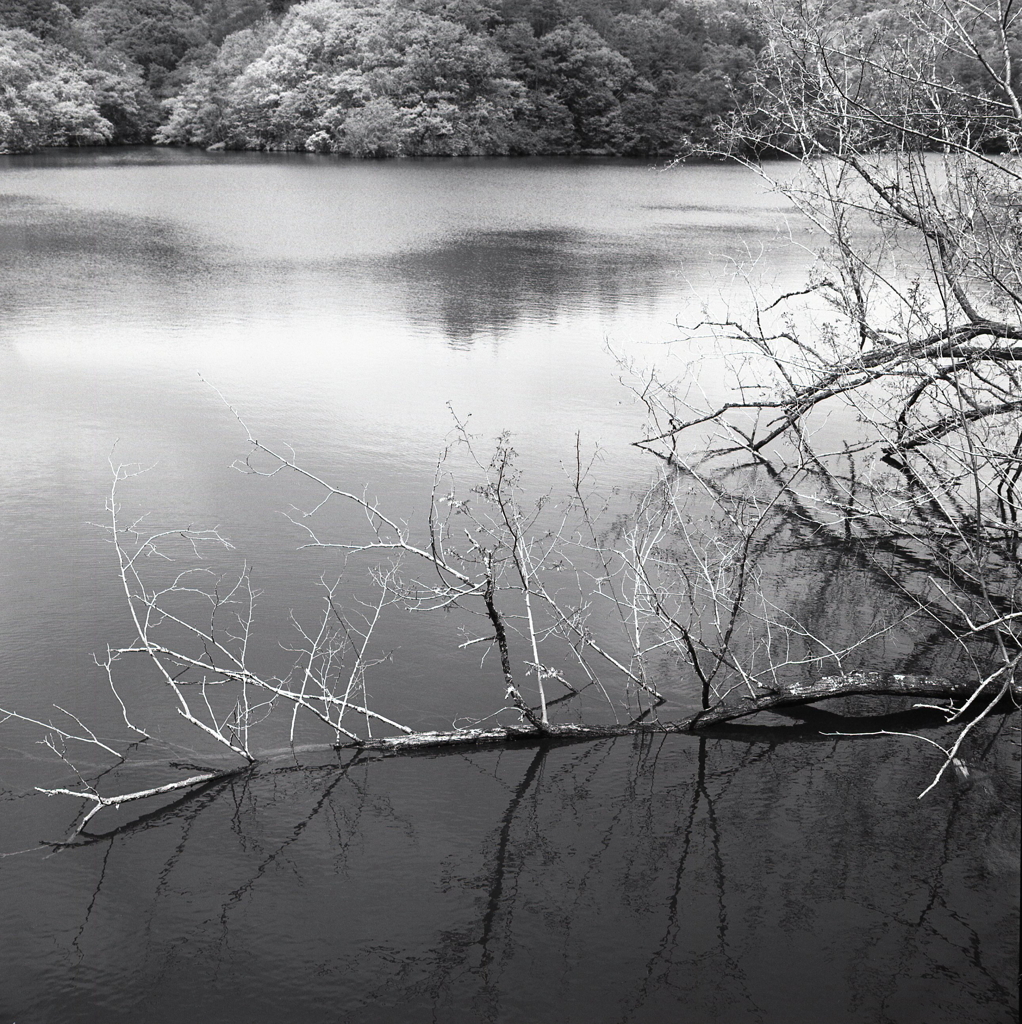 築水池湖面の風景