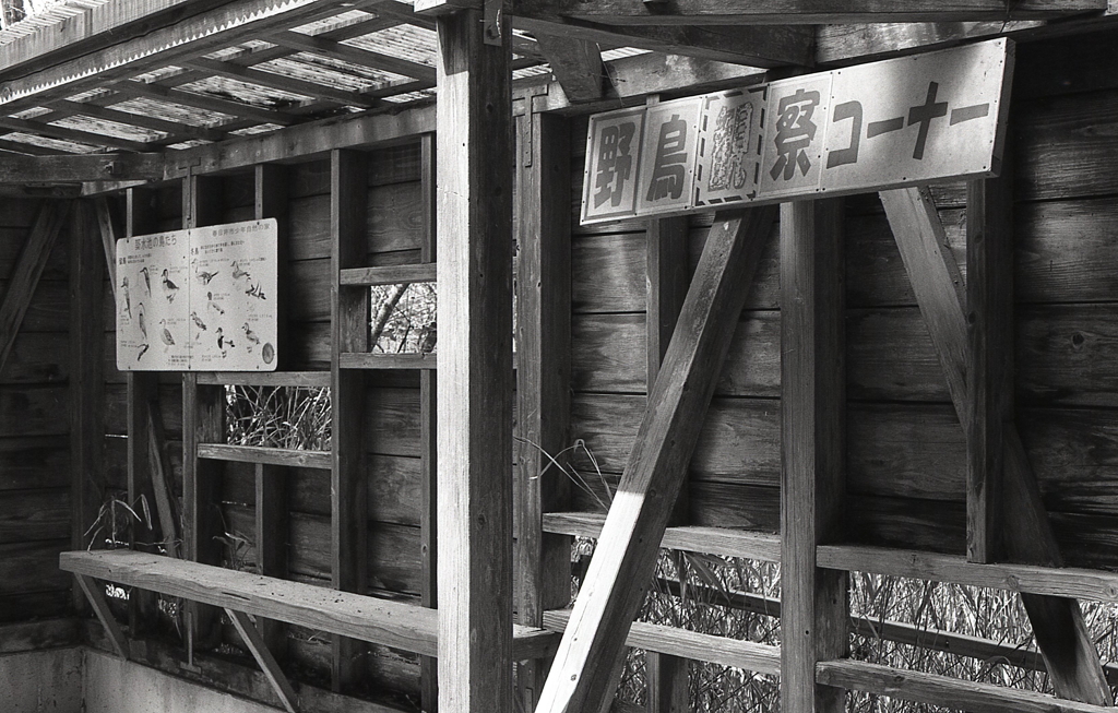 野鳥観察コーナー