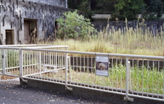 アフリカゾウ「ケニー」の獣舎跡