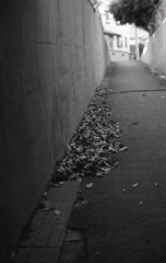 吹き溜まりの坂道