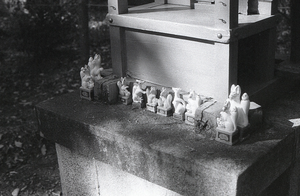 小さな祠にちいさなちいさな狐たち