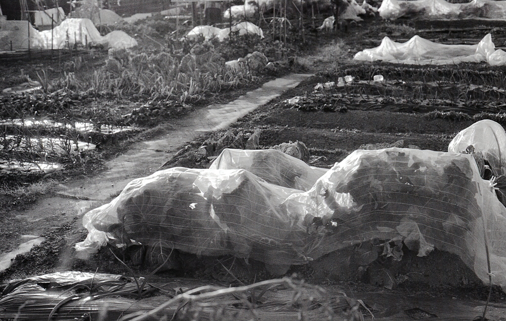 １月のＡー１monochrome　