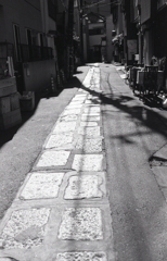 亀戸石張りの小路