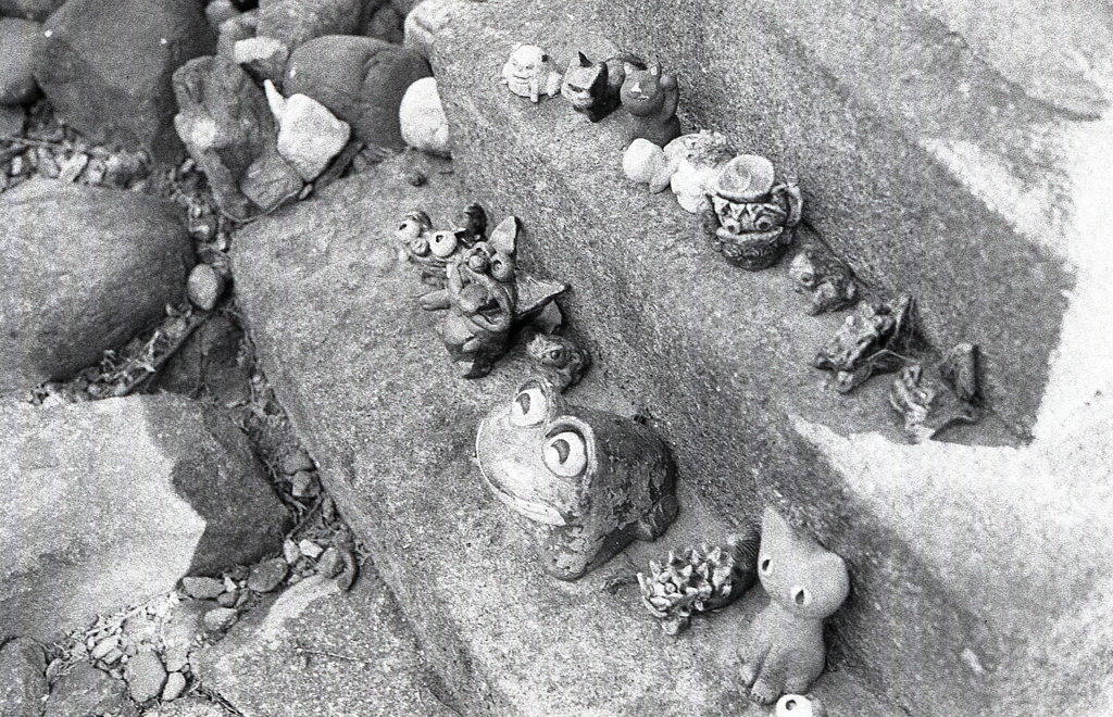 カエルや猫やバラエティな面々（笑