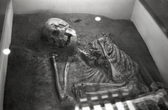 古代人は骨が残されるが現代は…