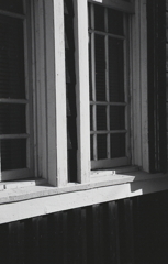 さ～て、どこで撮ったかこのショット？