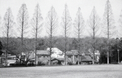 Foma Retropanの粒子感も悪くない。