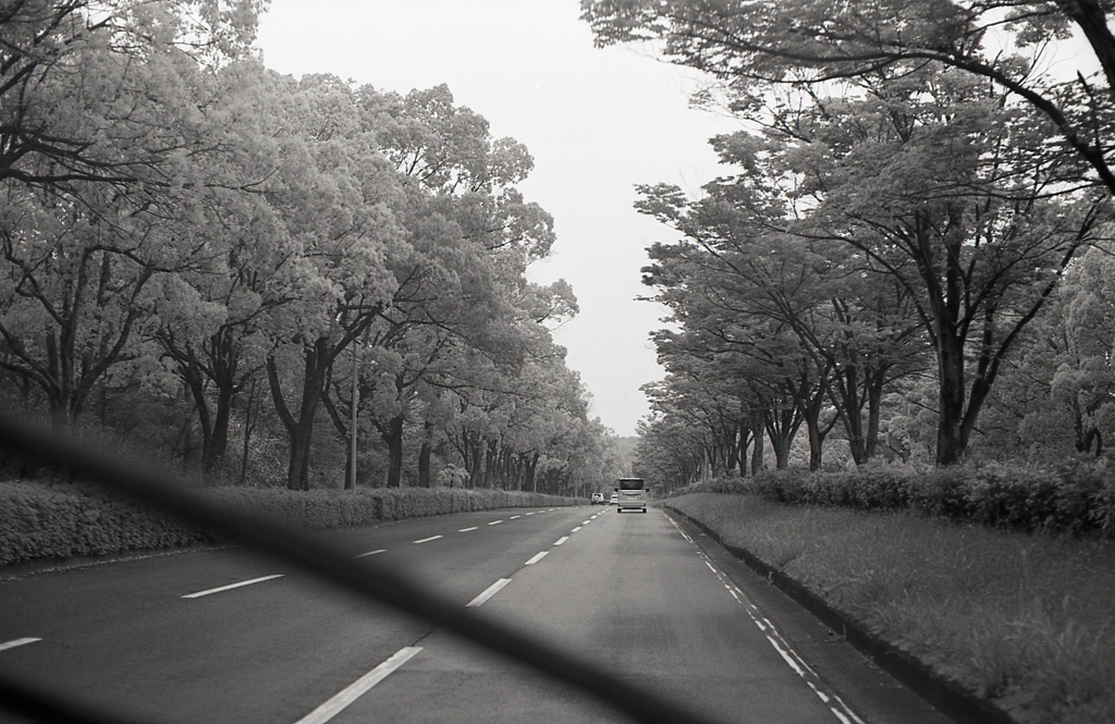 雨のドライブ