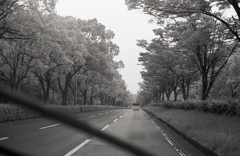 雨のドライブ