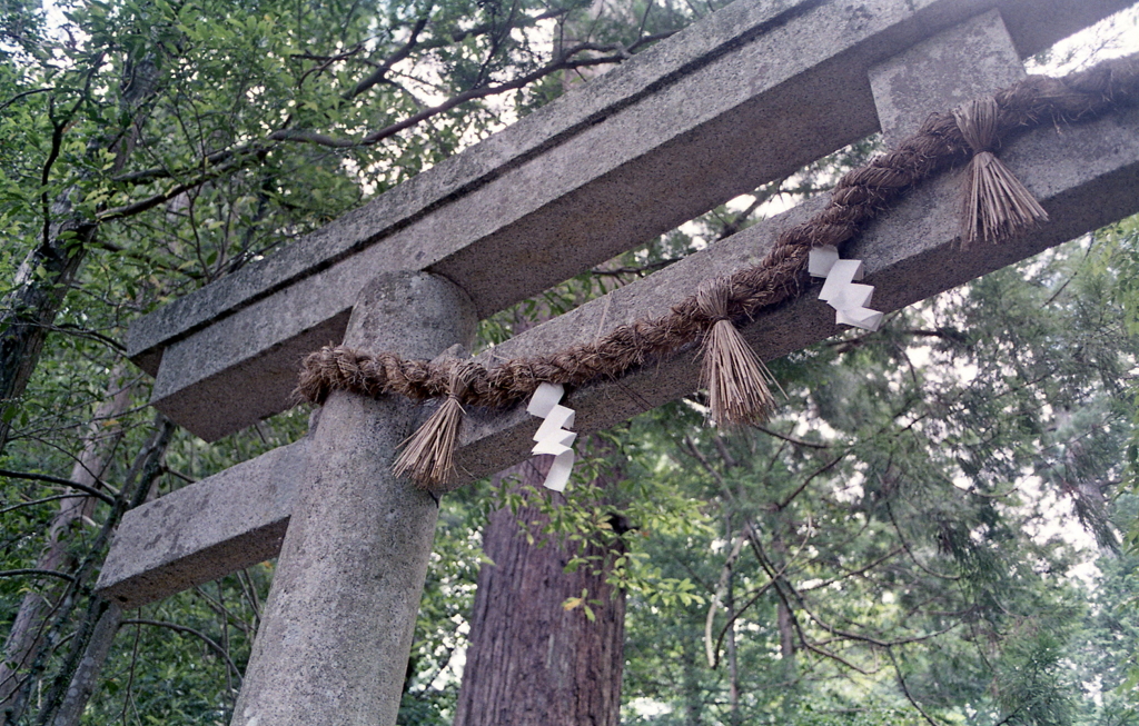 鳥居しめ縄をくぐりぬけ…