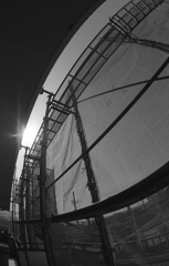 お日様とのコントラスト