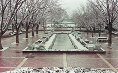 雪のプロムナード