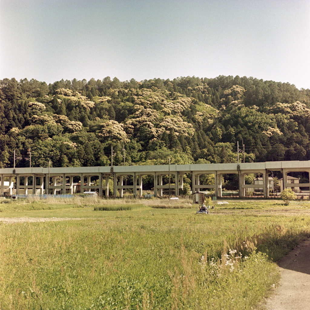 初夏の山々を抜ける愛知環状鉄道