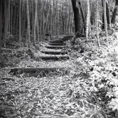 木段の坂道