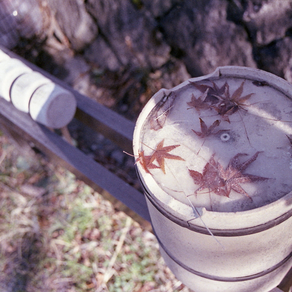 元旦のお墓参り