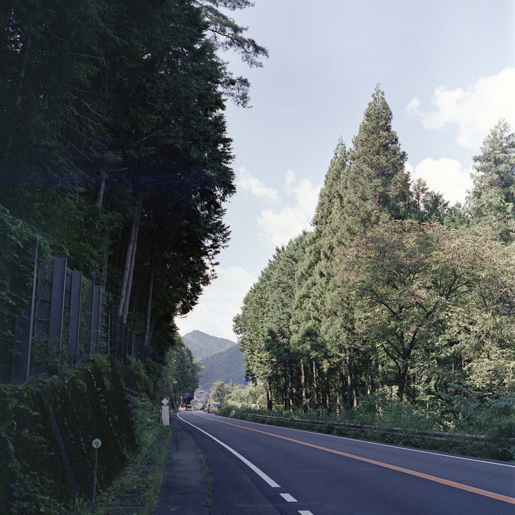 高山への道　～国道４１号線