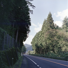 高山への道　～国道４１号線