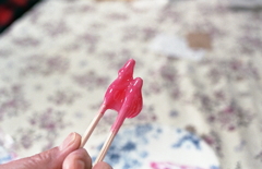 練って白くなると食べごろだそうだが…