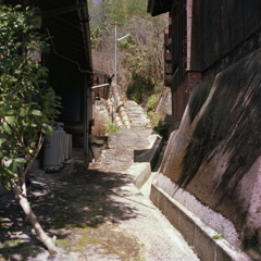 横道を覗くと瓶が積まれた坂道だった。
