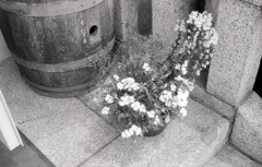 ワイン樽と鉢植えの花