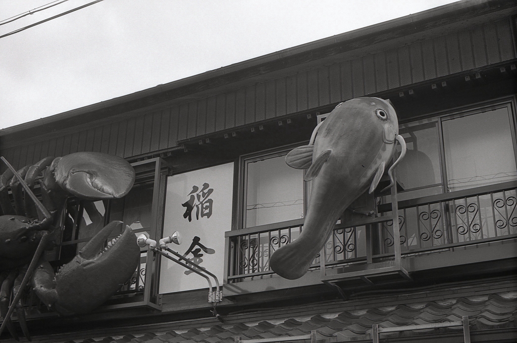 なまずが名物なんです。