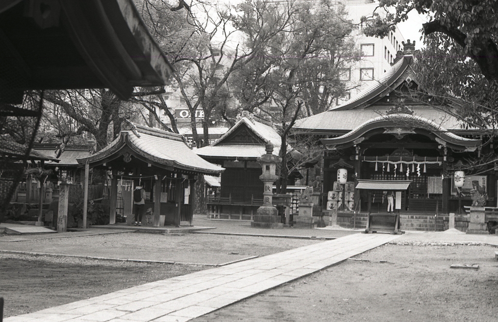 神社参拝の儀