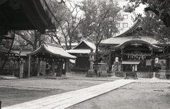 神社参拝の儀