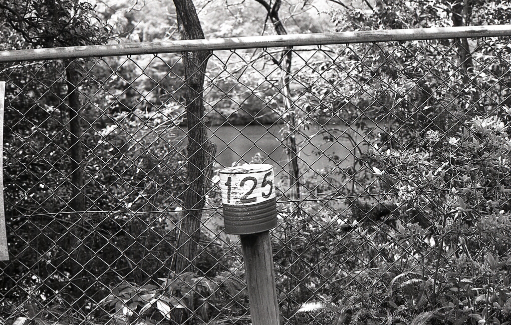 今度は「１２５」の空缶が…