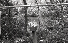 今度は「１２５」の空缶が…