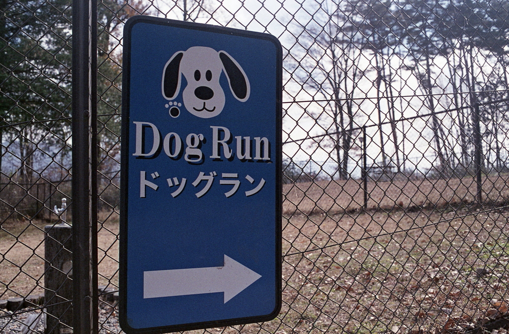 DOG RUN