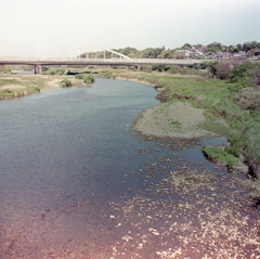 松川橋（庄内川）からの風景