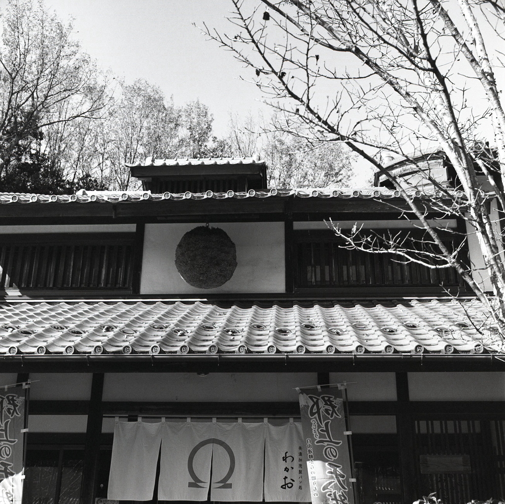 杉玉のある館