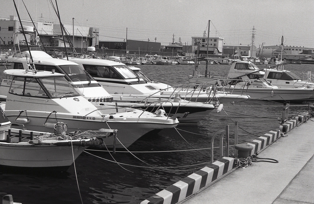 停留されたレジャーボート