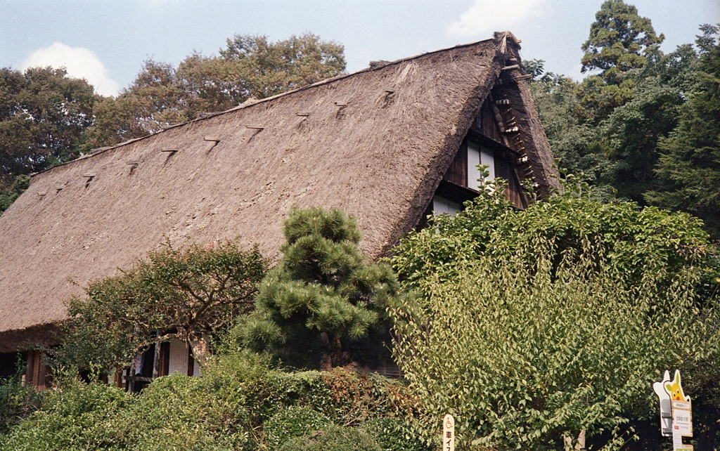 藁葺屋根　～東山植物園