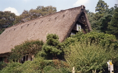 藁葺屋根　～東山植物園