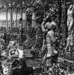 急遽なんですが…