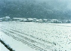 下和田の雪景色Ⅱ