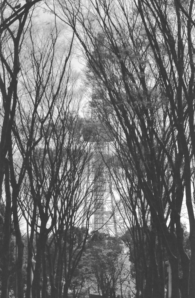 セントラルパーク　～okamos10様へ…