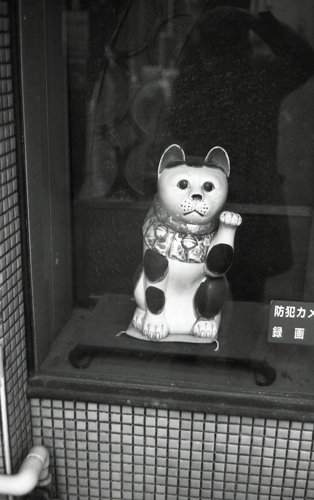 写真館の招き猫